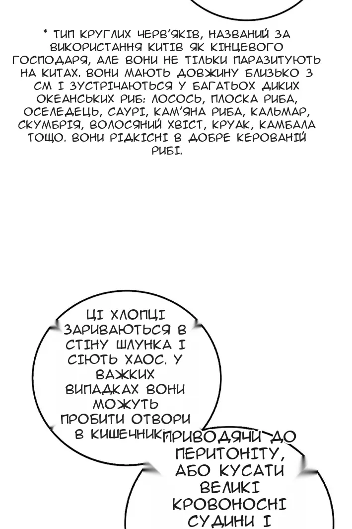 Сторінка 48