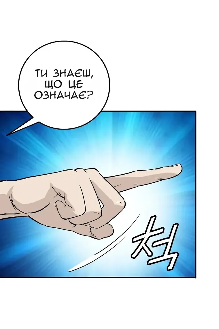 Сторінка 17