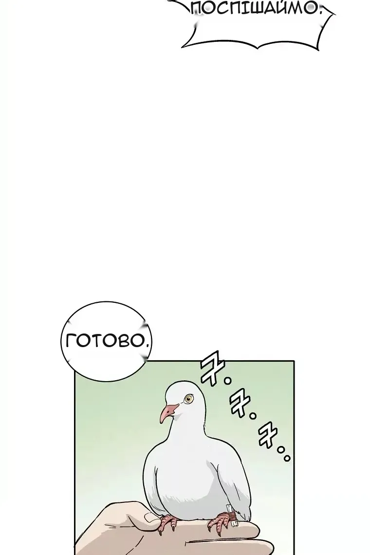 Сторінка 8