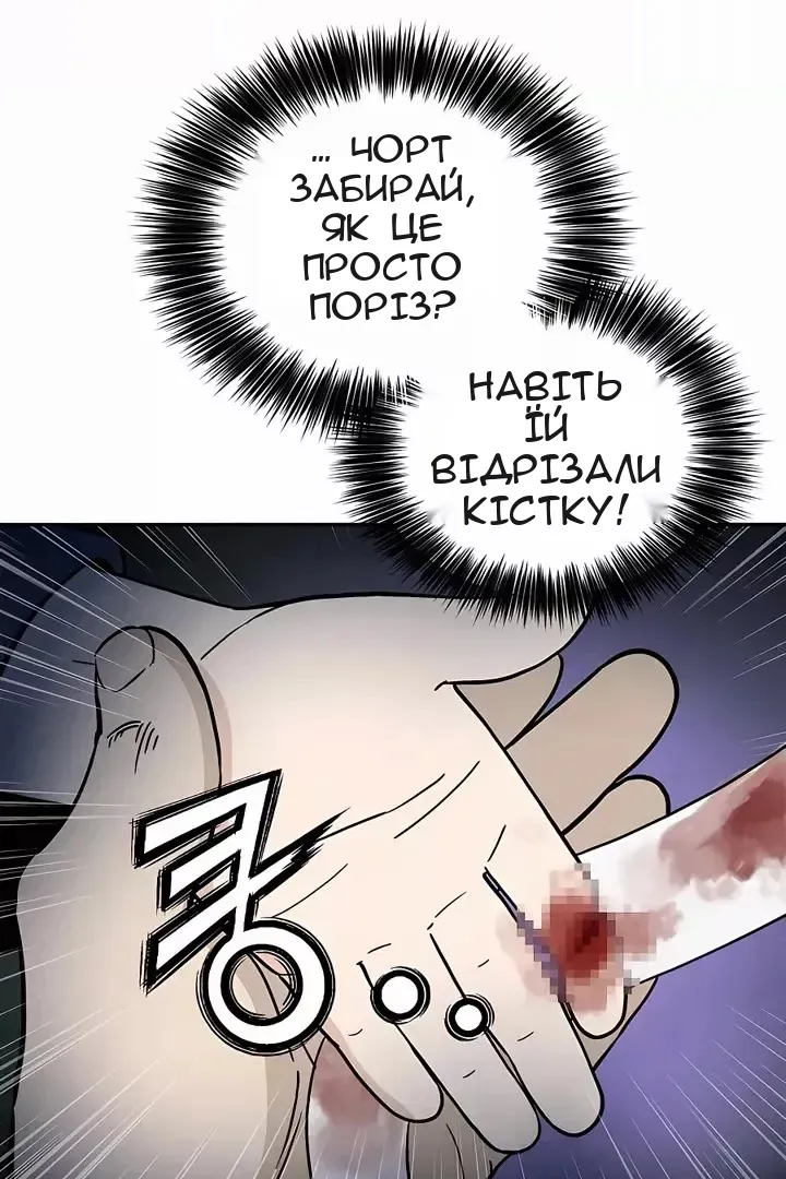 Сторінка 41