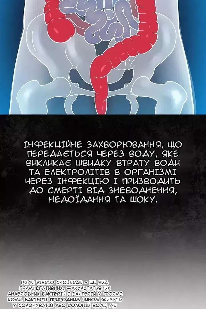 Сторінка 5