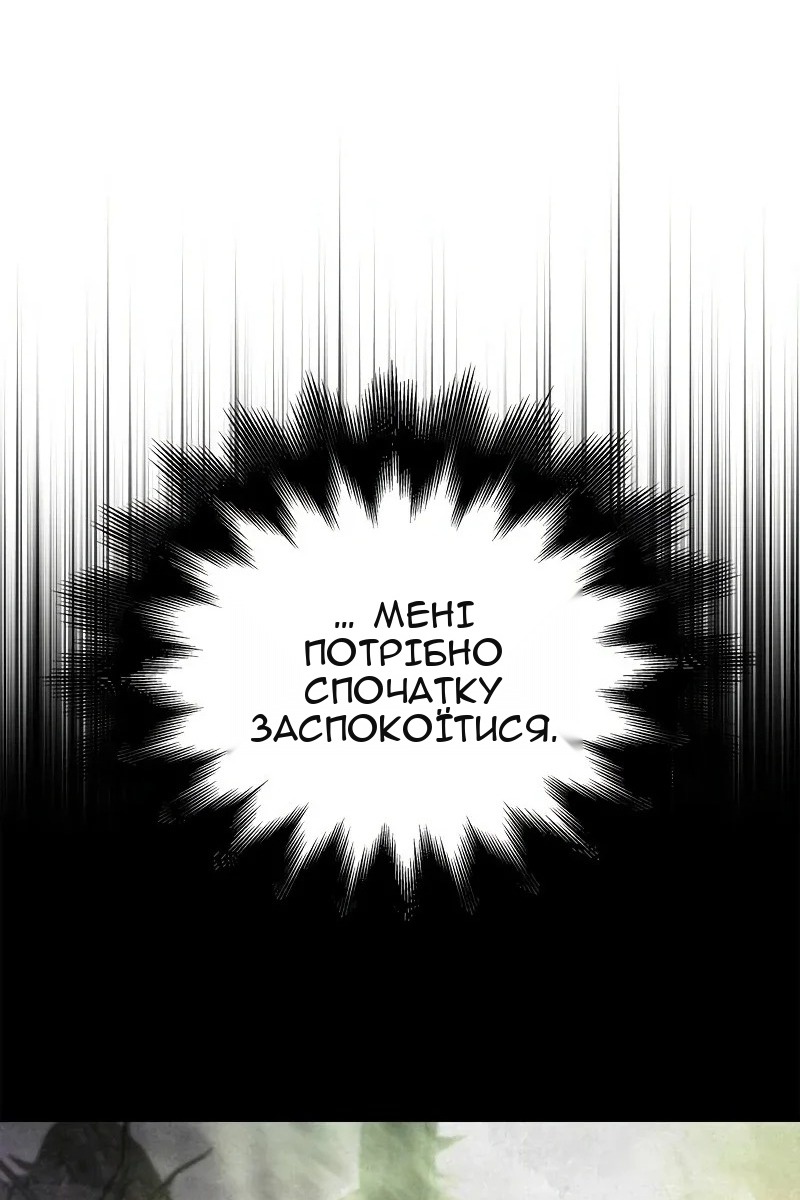 Сторінка 17