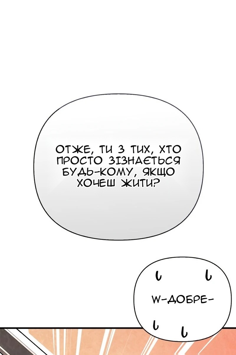 Сторінка 41