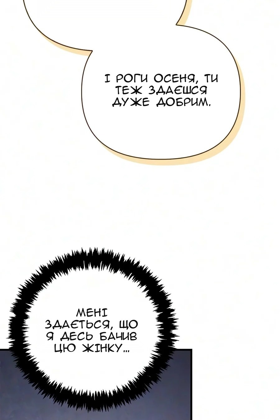 Сторінка 107