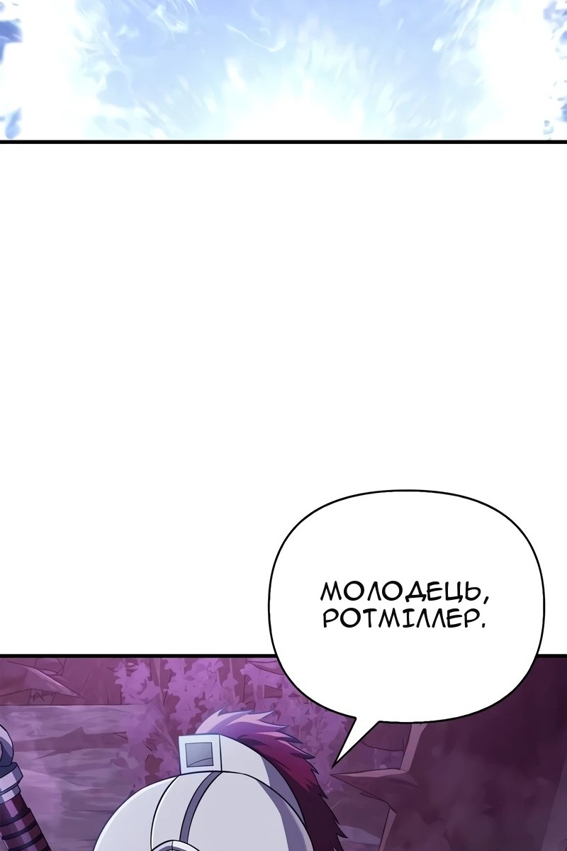 Сторінка 111