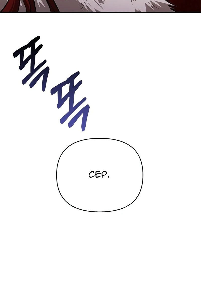 Сторінка 13