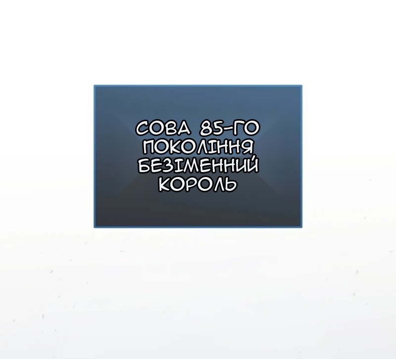 Сторінка 8