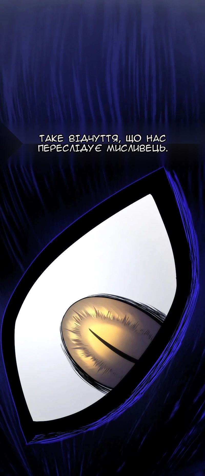 Сторінка 11