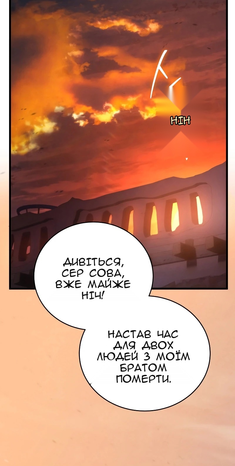 Сторінка 11