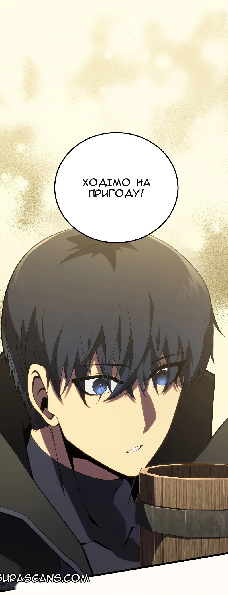 Сторінка 17