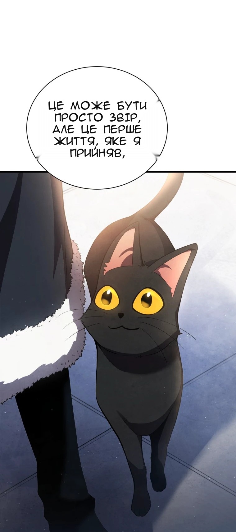Сторінка 26