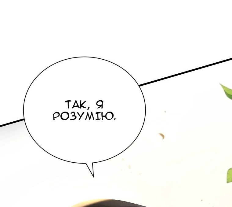 Сторінка 29