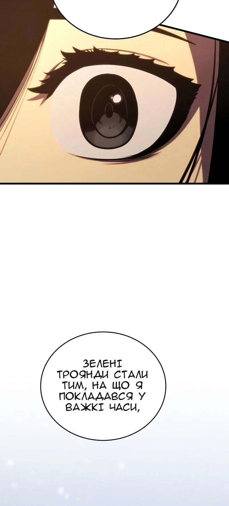 Сторінка 35