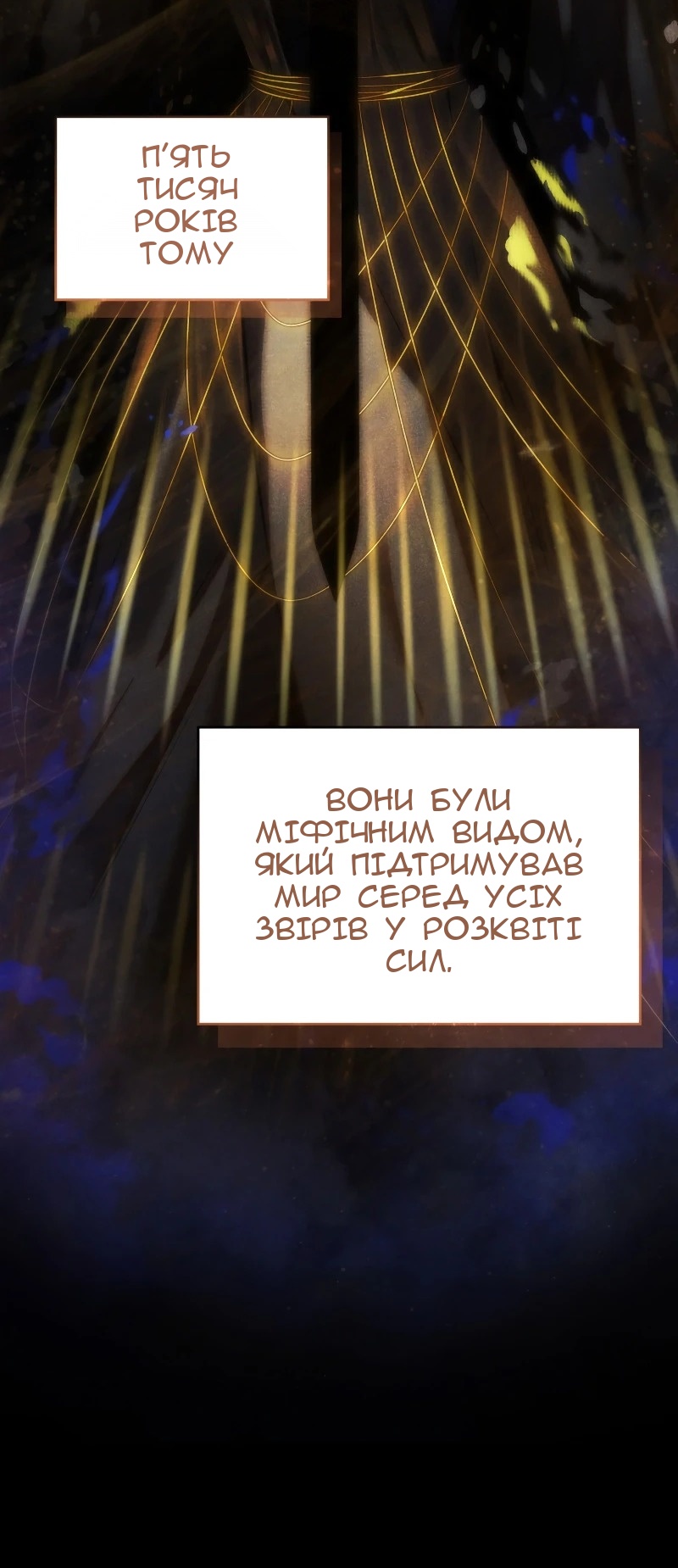 Сторінка 11