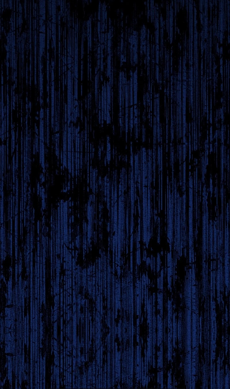 Сторінка 51