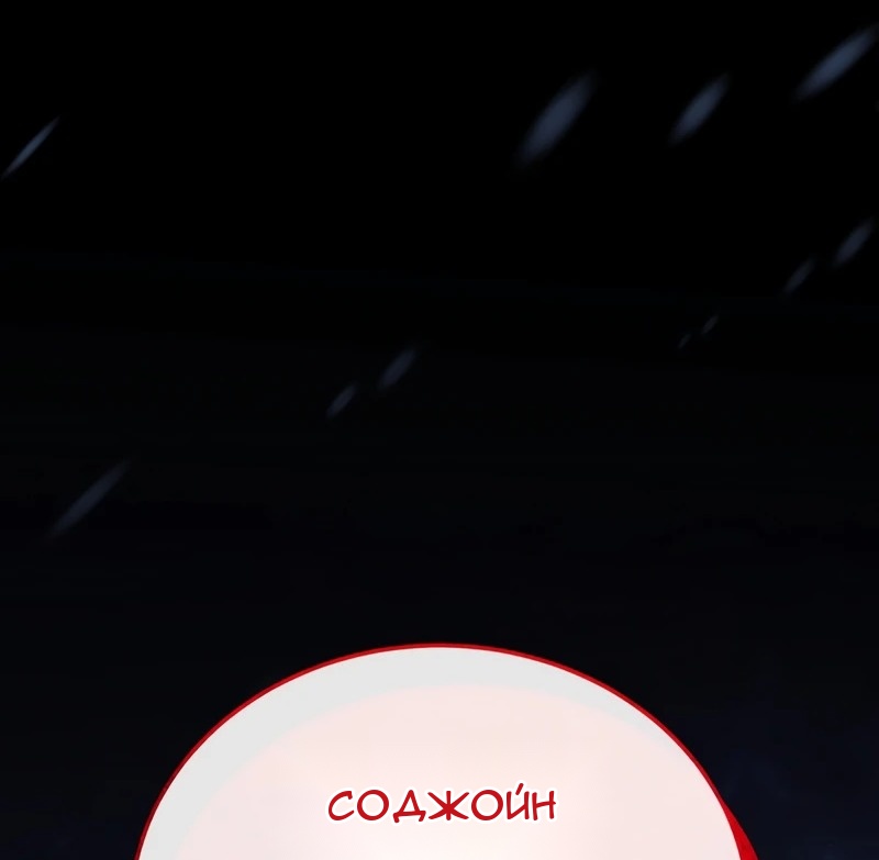 Сторінка 113