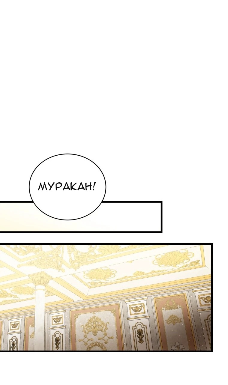 Сторінка 56