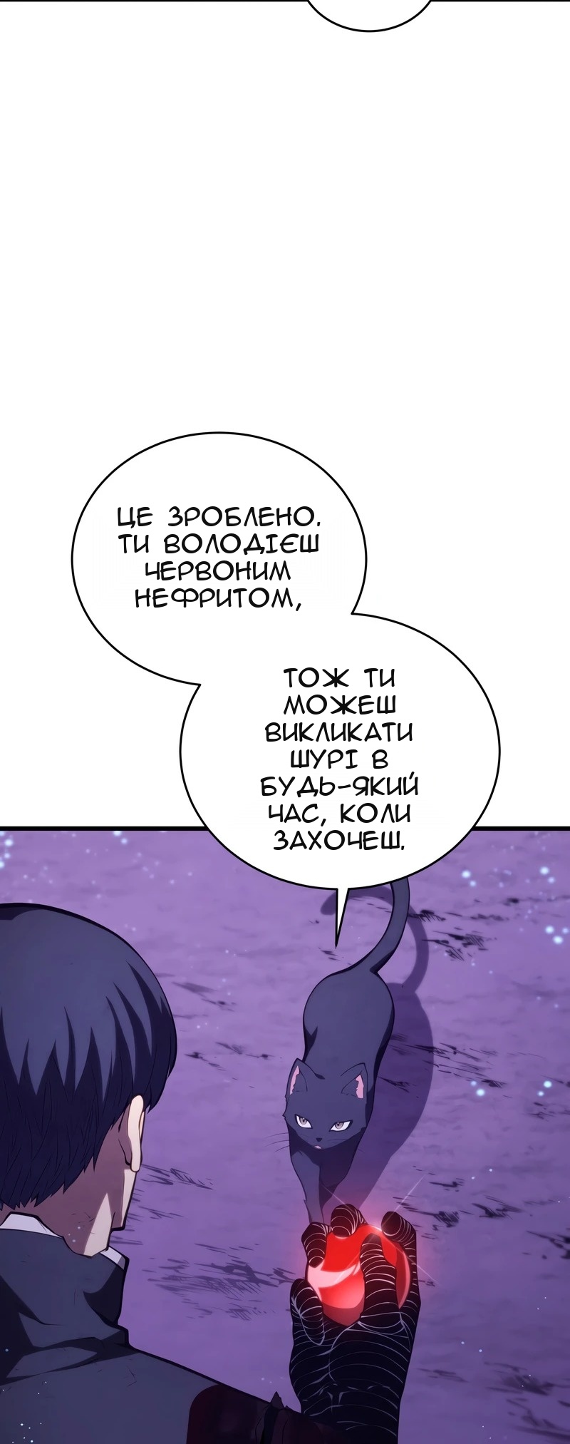 Сторінка 68