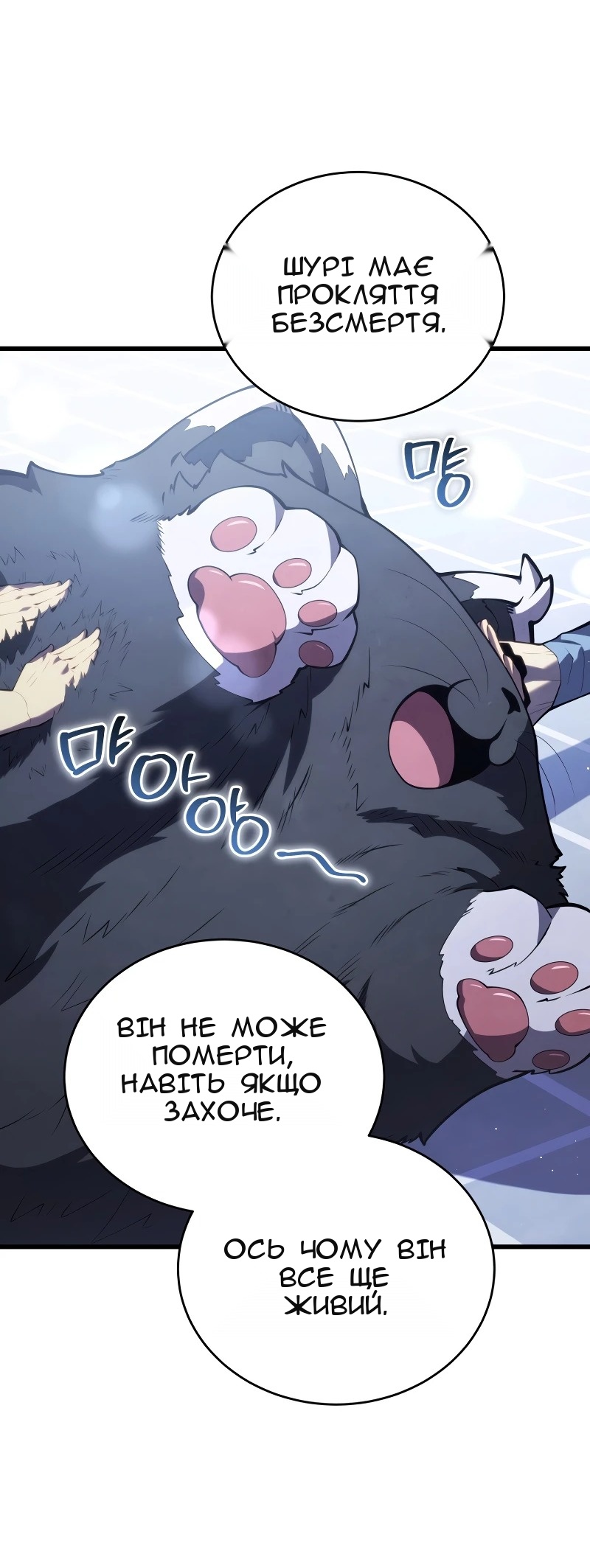 Сторінка 26