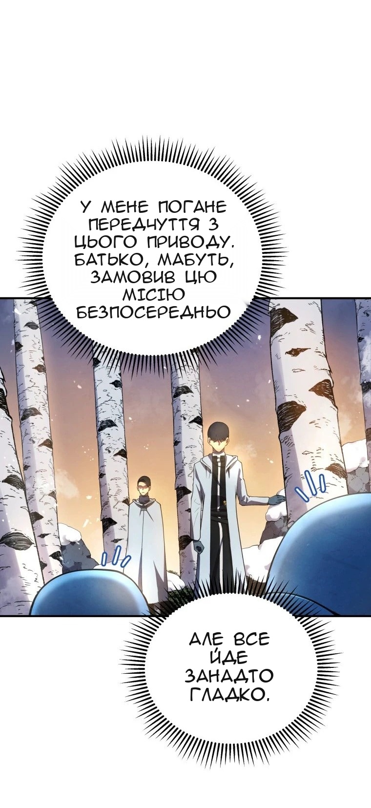 Сторінка 11