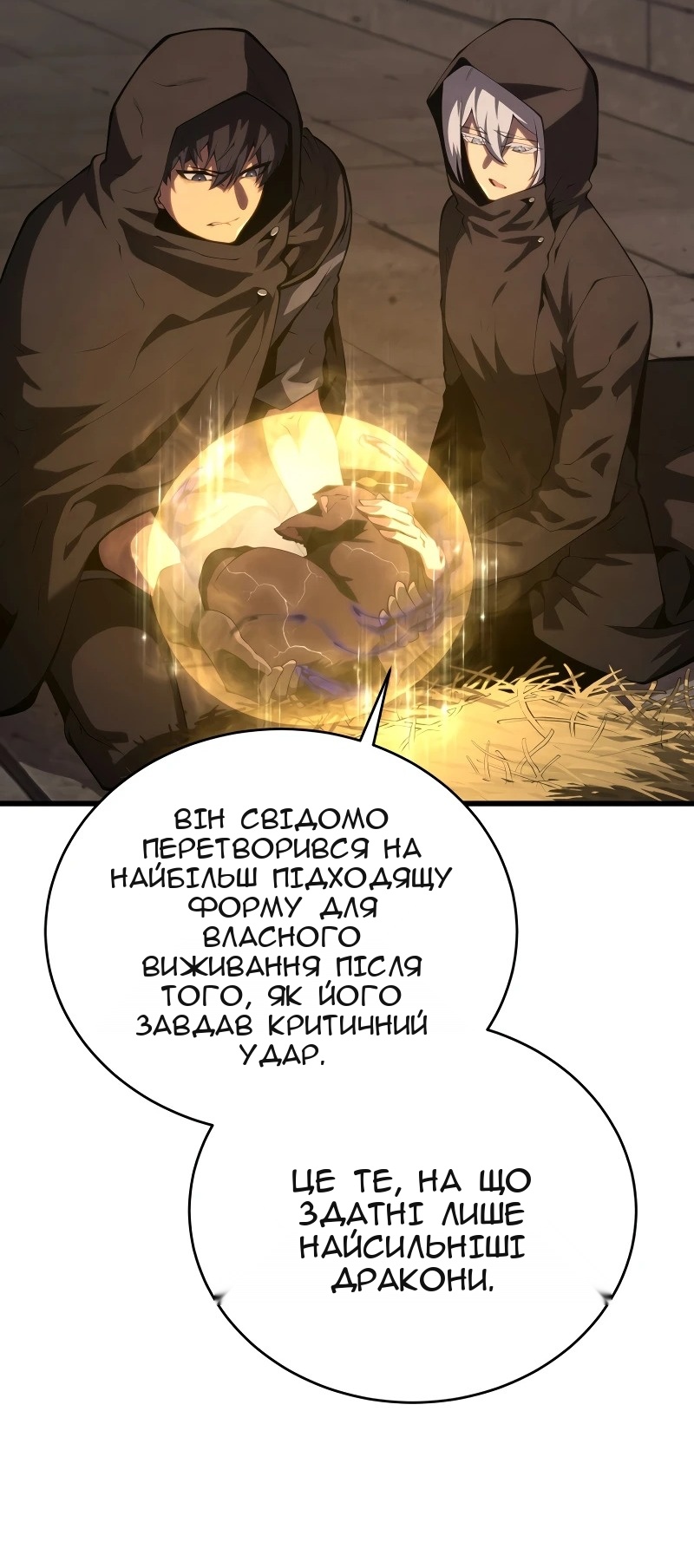 Сторінка 49