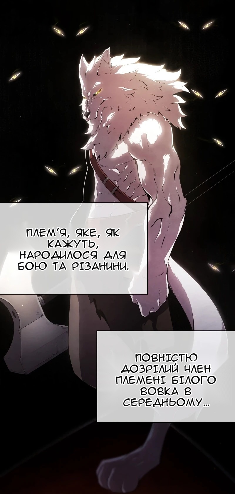 Сторінка 12