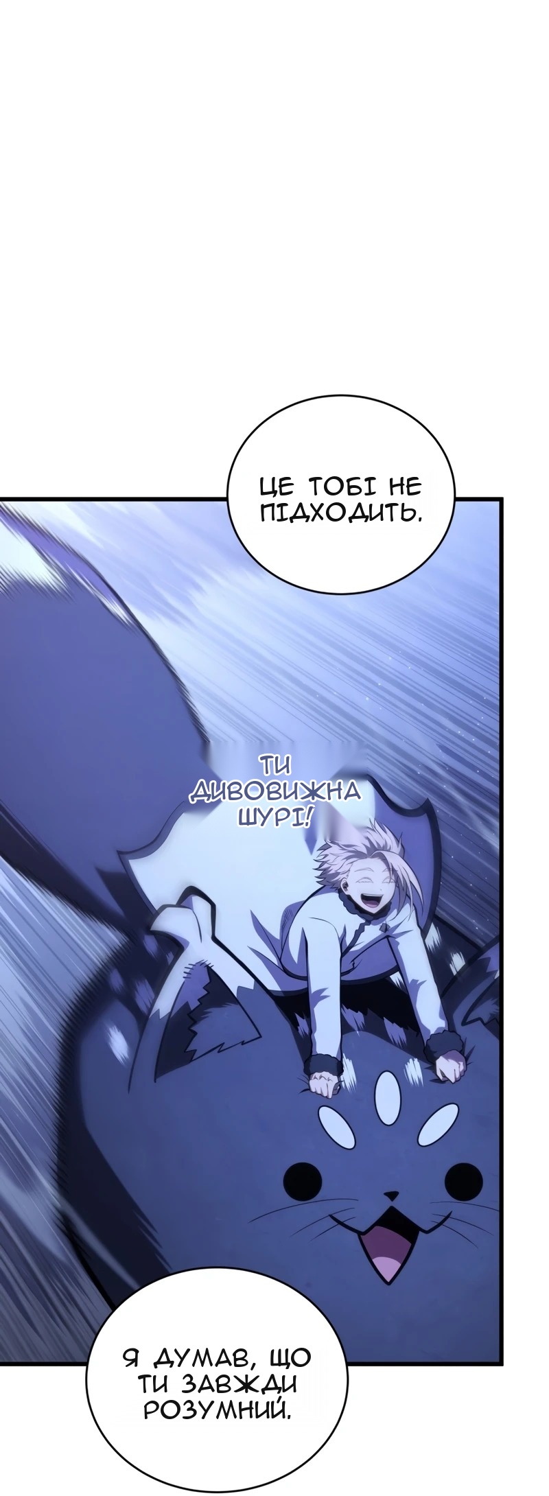 Сторінка 17