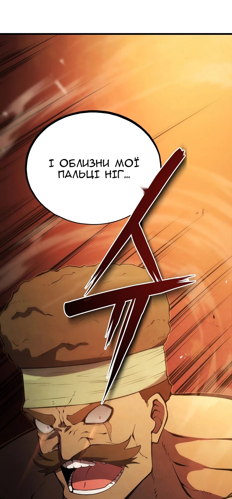 Сторінка 17