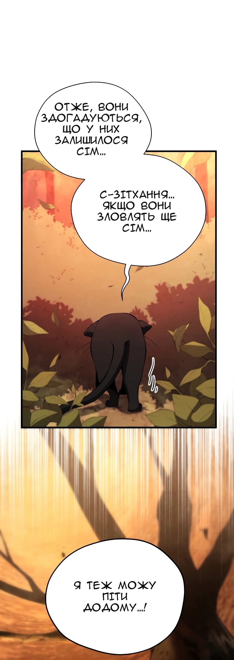 Сторінка 13