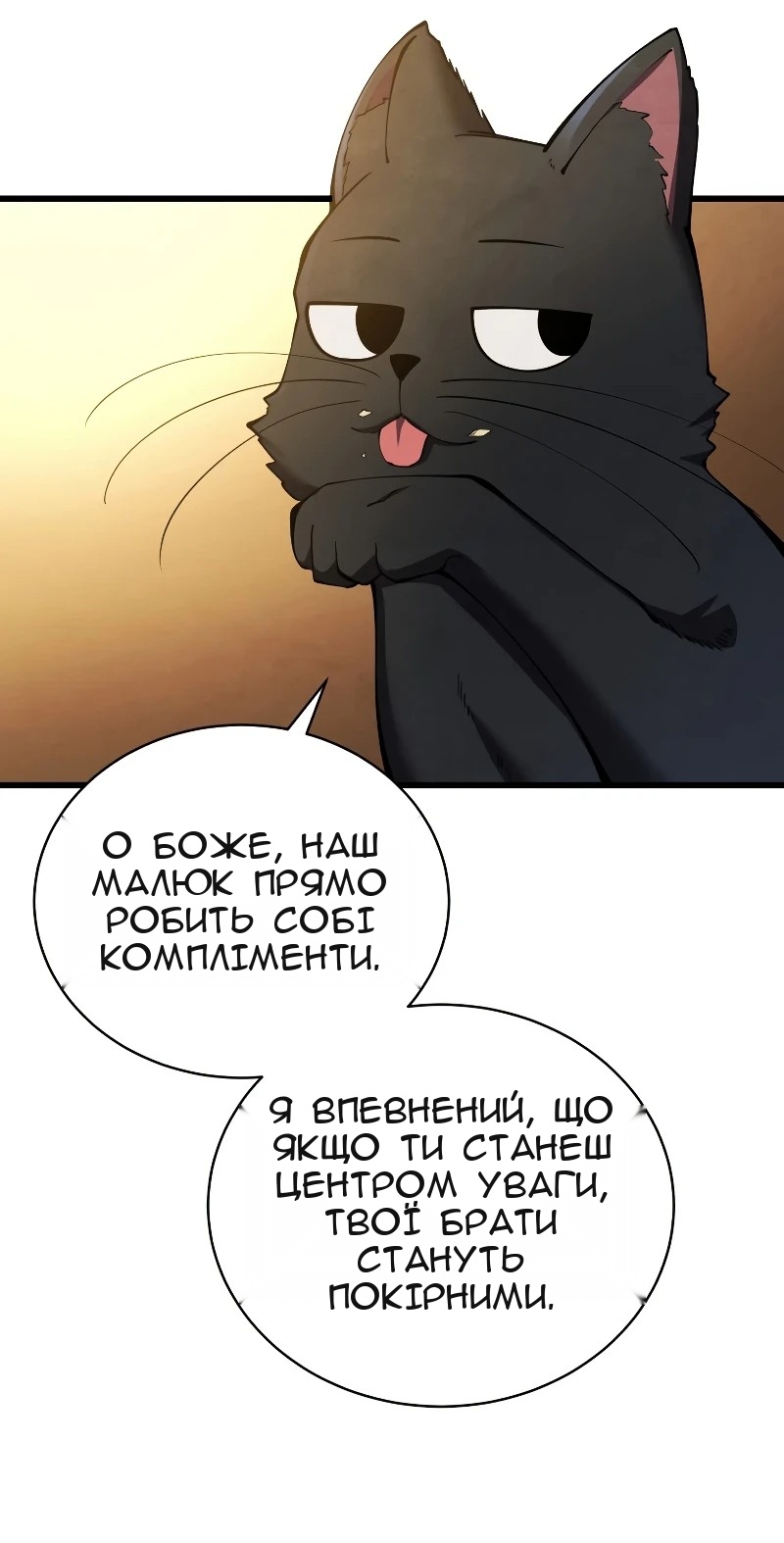 Сторінка 17