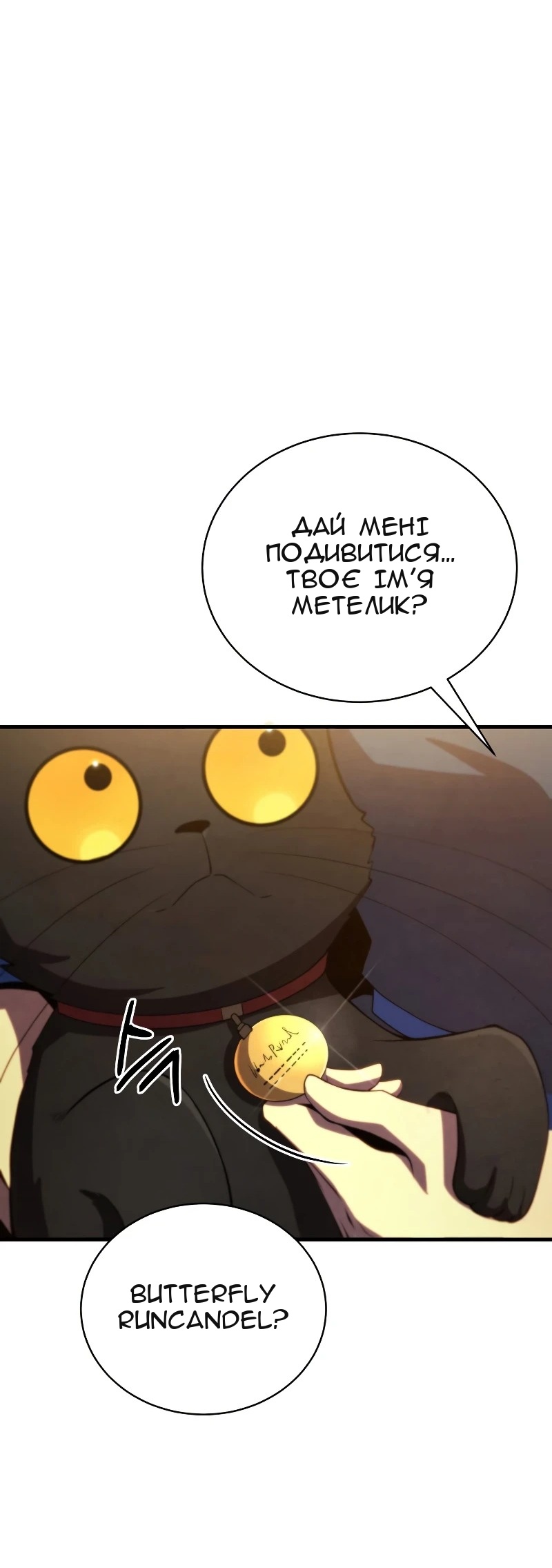 Сторінка 38