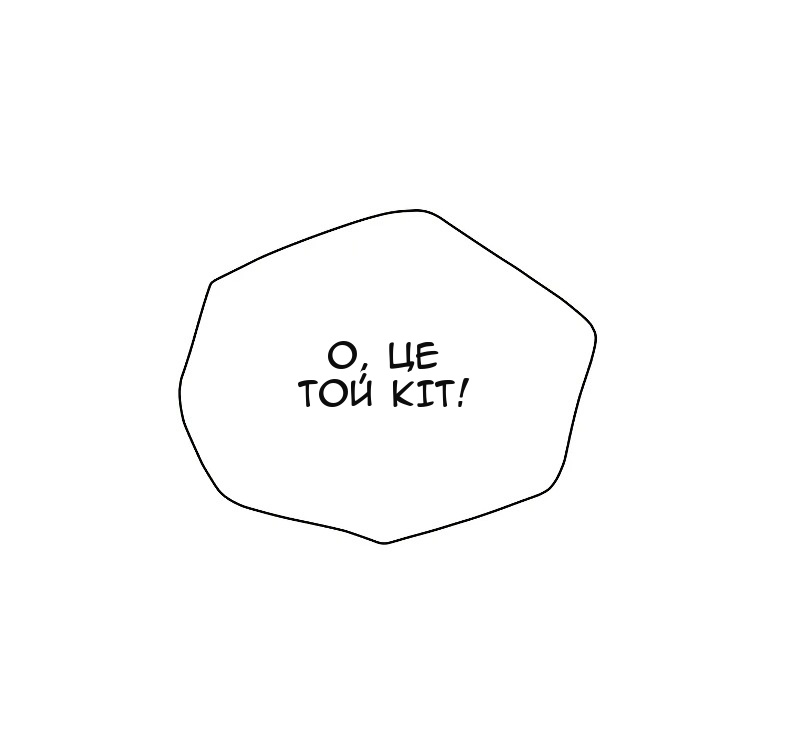 Сторінка 40