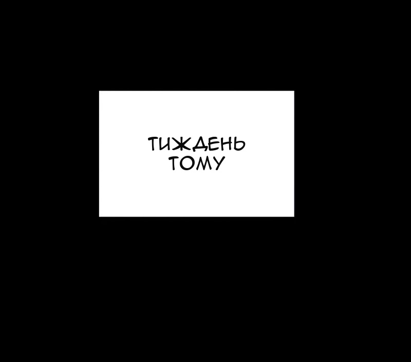 Сторінка 11