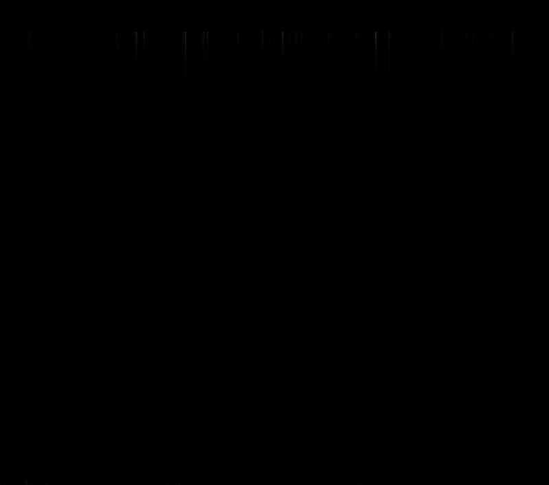 Сторінка 55