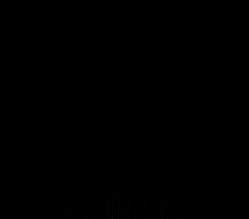 Сторінка 15
