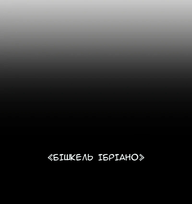 Сторінка 29