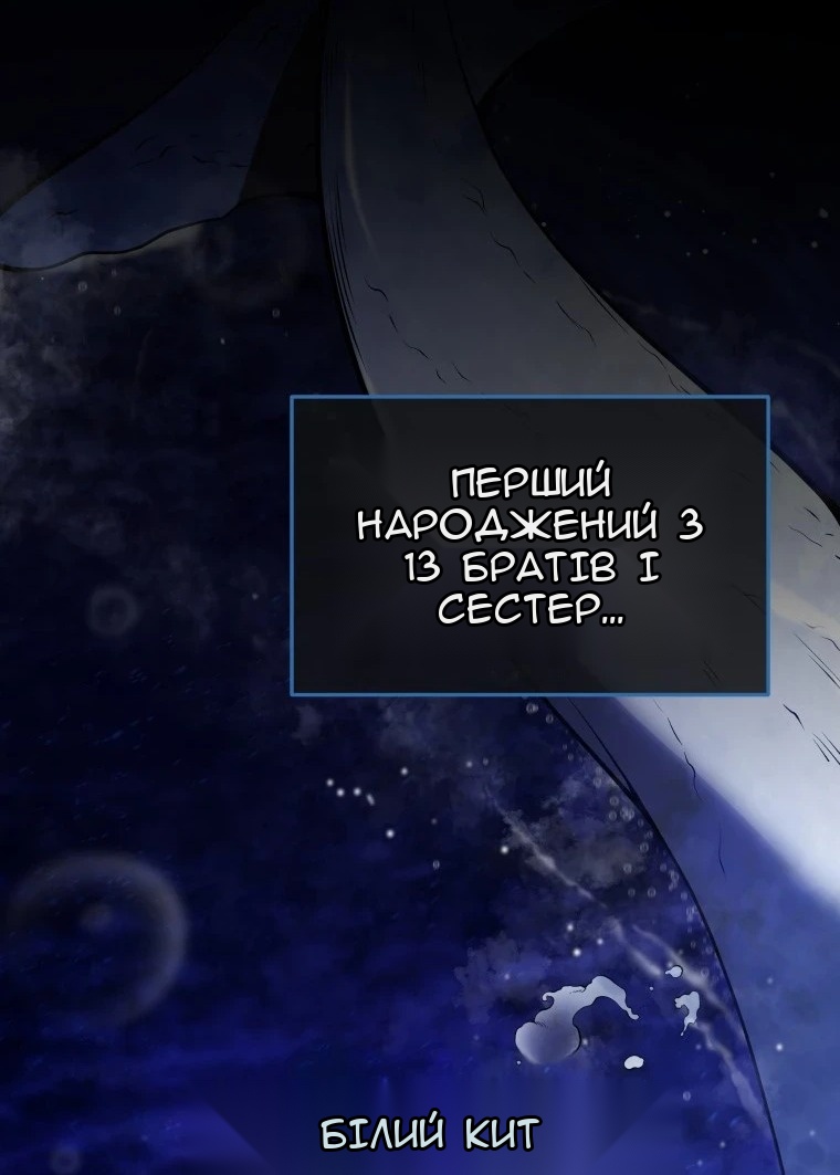 Сторінка 17