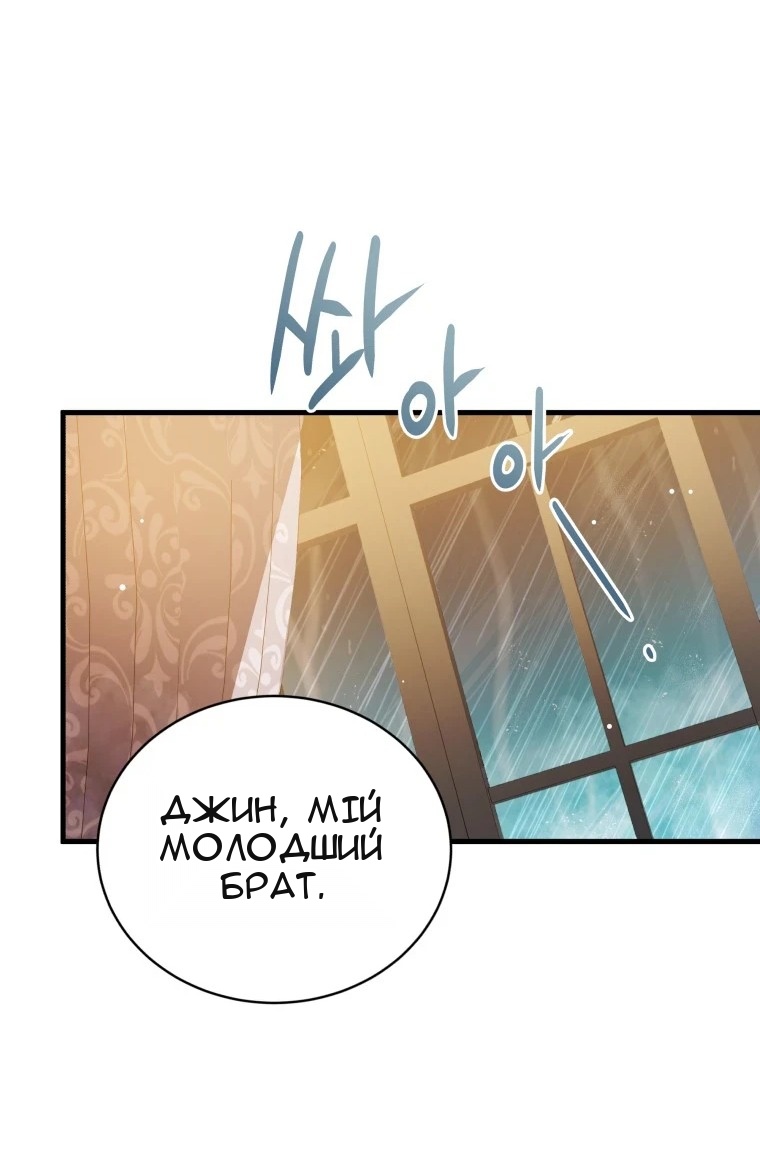 Сторінка 41