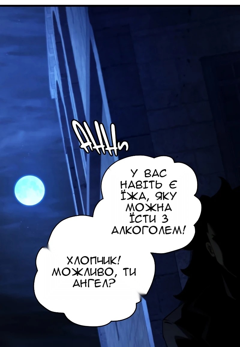 Сторінка 27