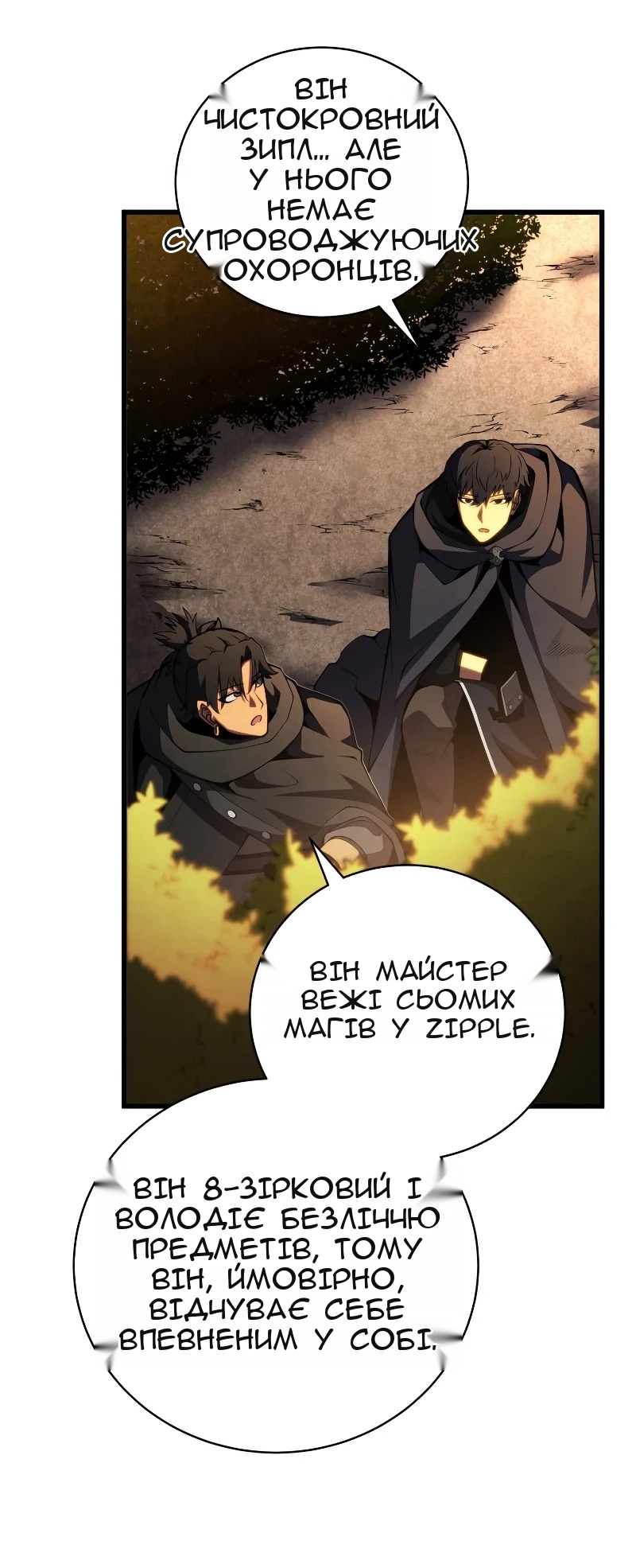 Сторінка 31