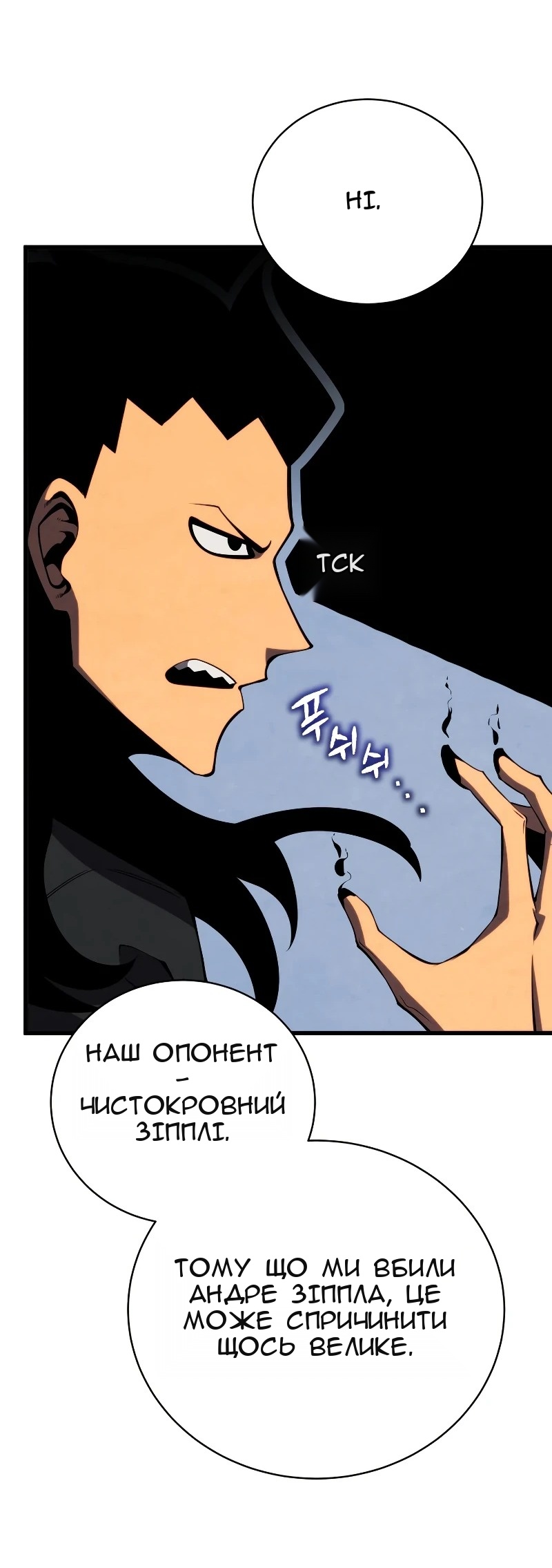 Сторінка 33