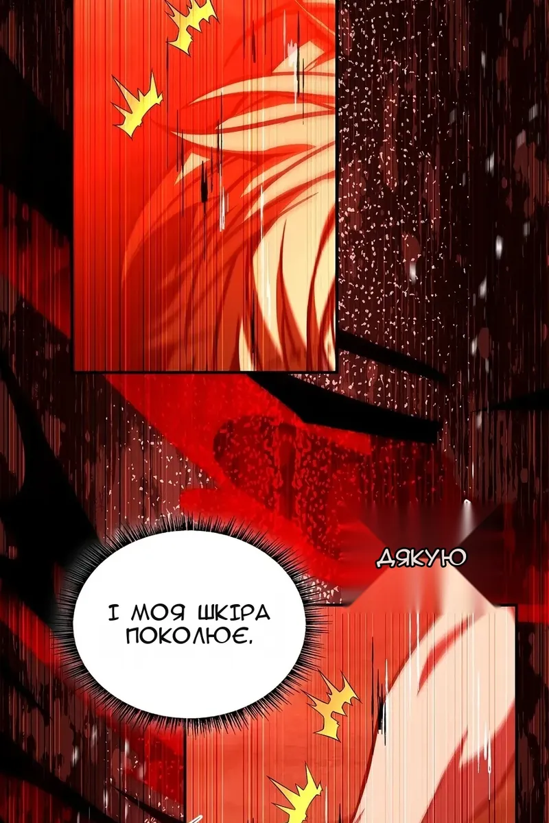 Сторінка 17