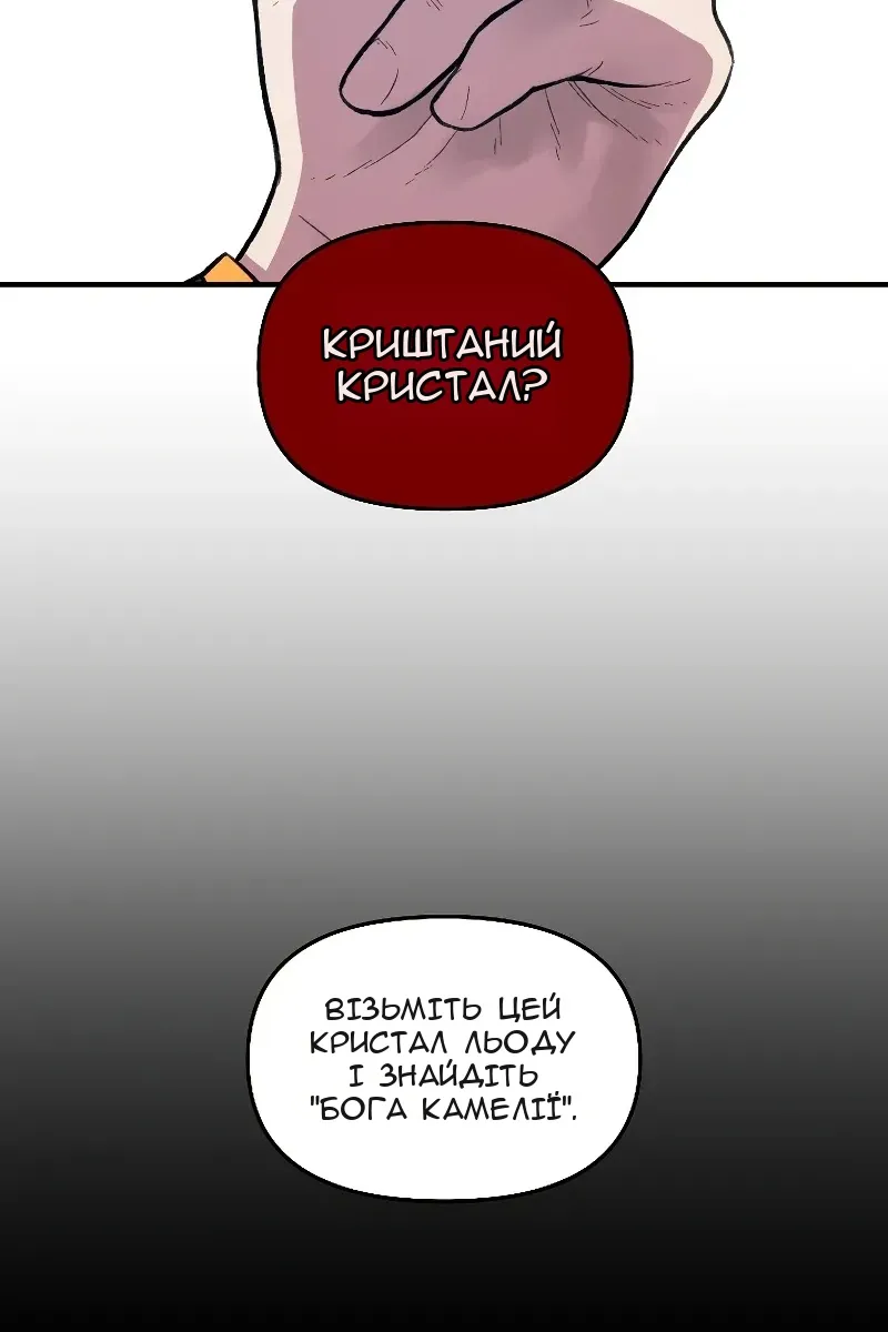 Сторінка 6