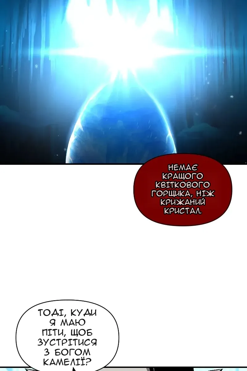 Сторінка 43