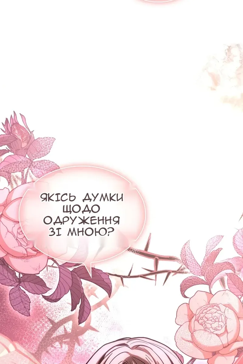 Сторінка 28