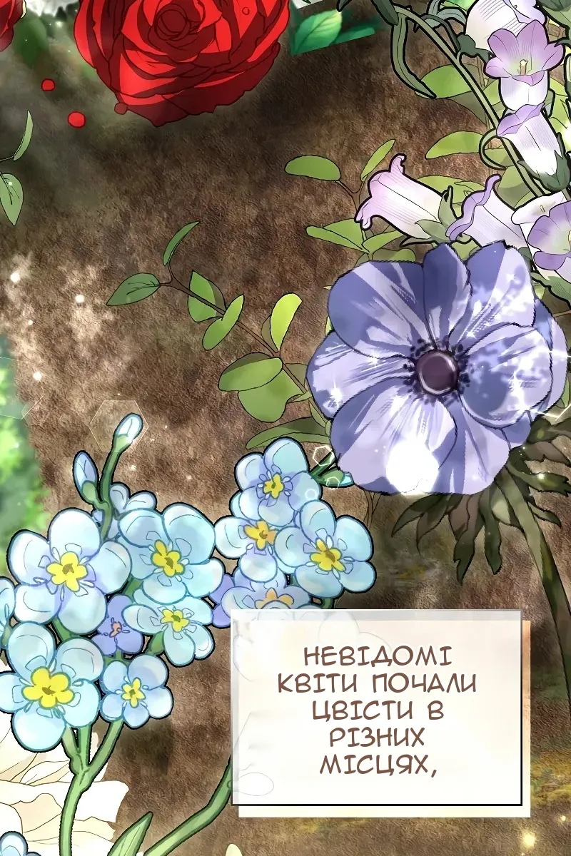 Сторінка 31