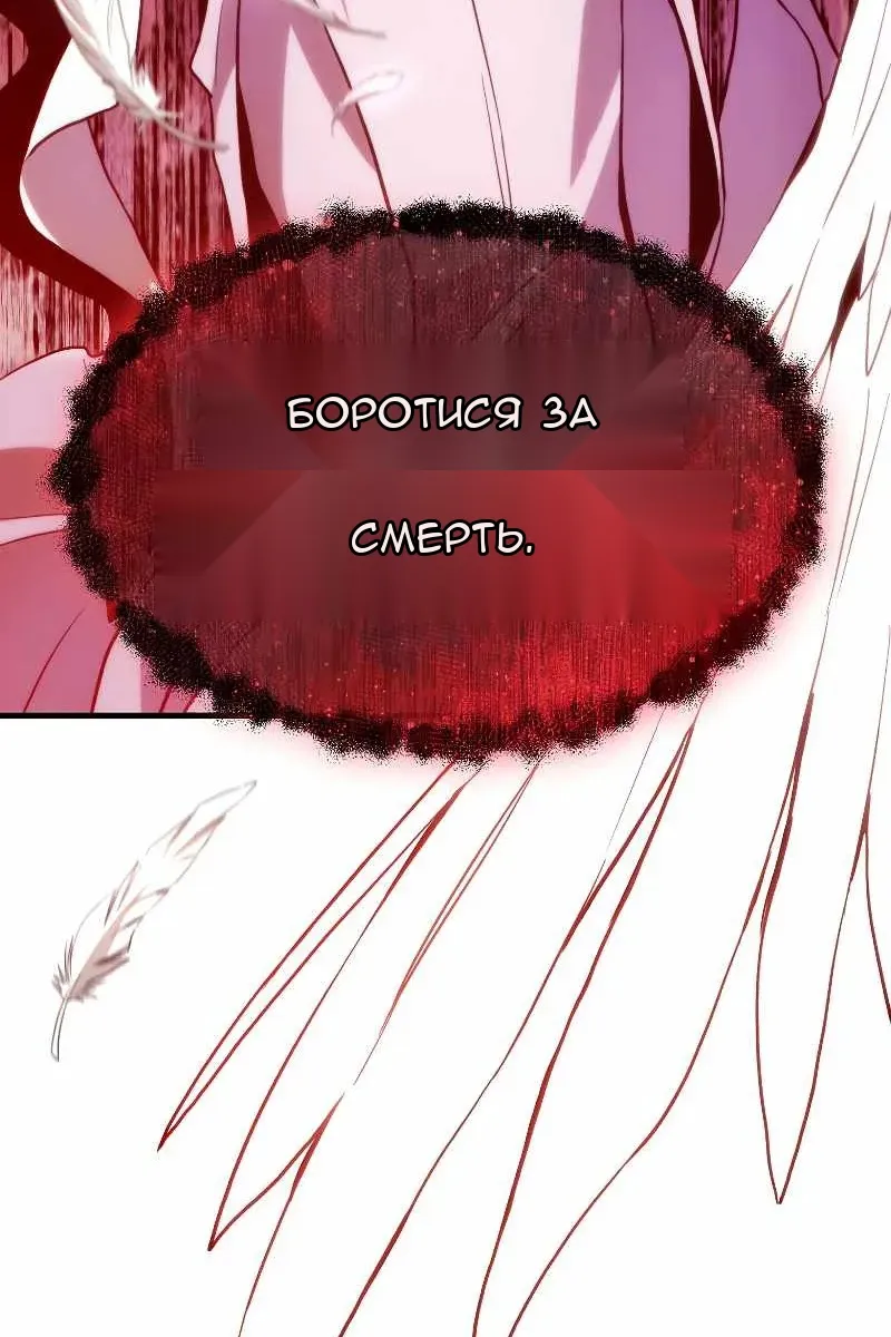 Сторінка 260