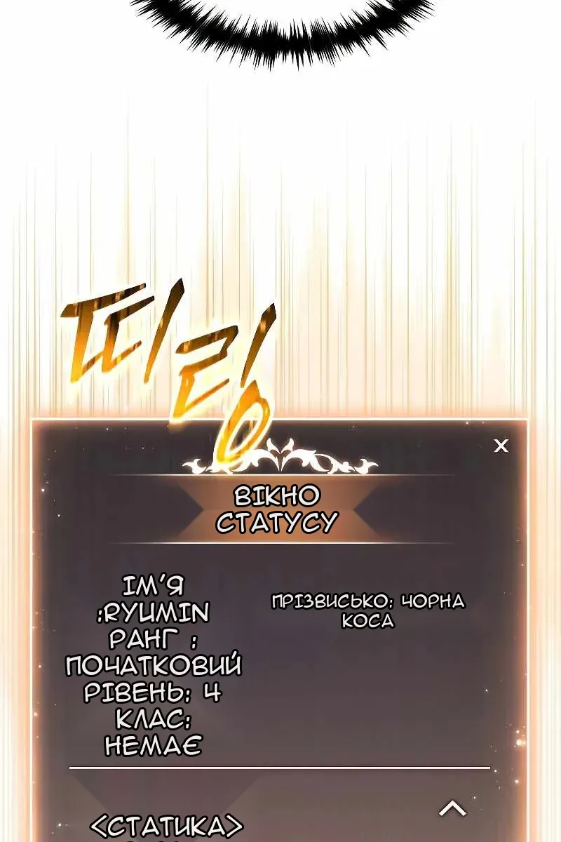 Сторінка 111
