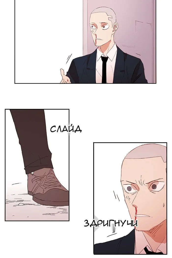 Сторінка 43