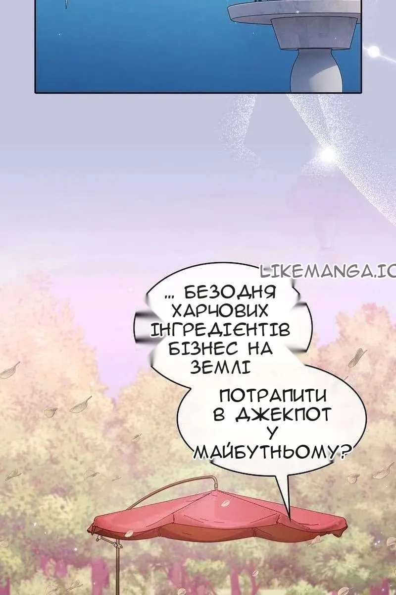 Сторінка 17